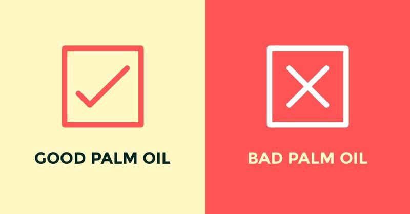 good palm oil vs bad palm oil