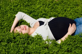 Lying in green grass