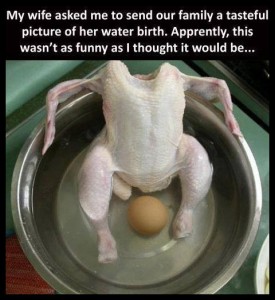 funny-chicken-egg-water-birth-wife