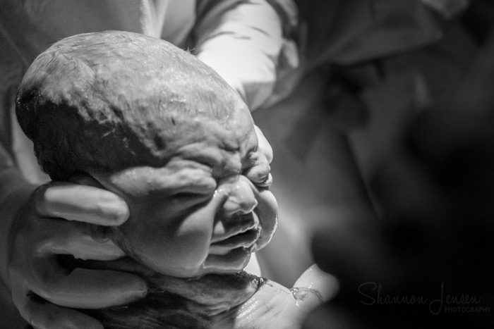 Just Born Photography by Shannon Jensen