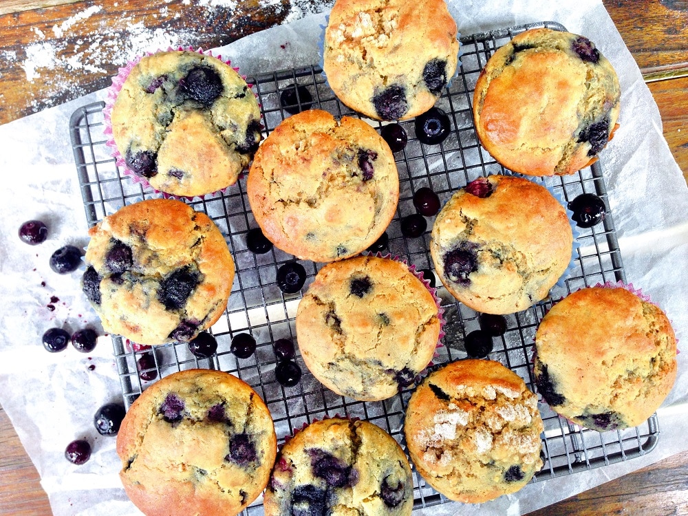 blueberry quinoa muffin recipe