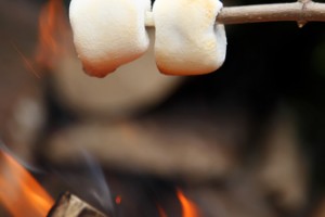Family camping food tips