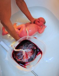 Placenta chronicles - 5 ideas for using your placenta