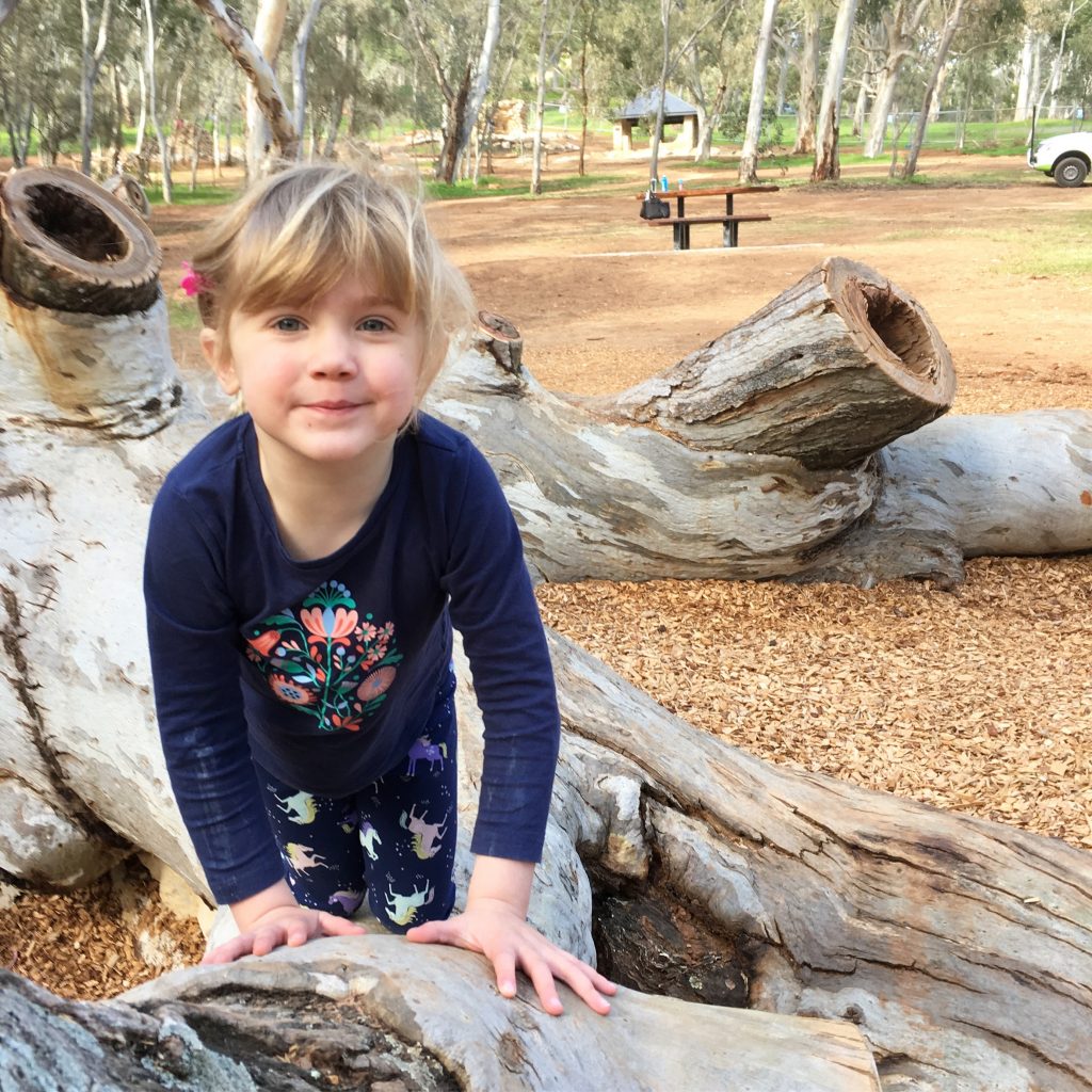 Here is a guide to adelaide's top 5 playgrounds!