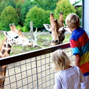 FIrst Birthday Gift Ideas - Zoo Passes