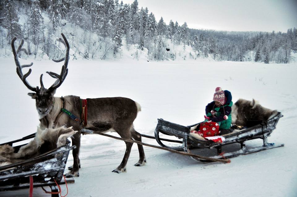 Lapland Christmas