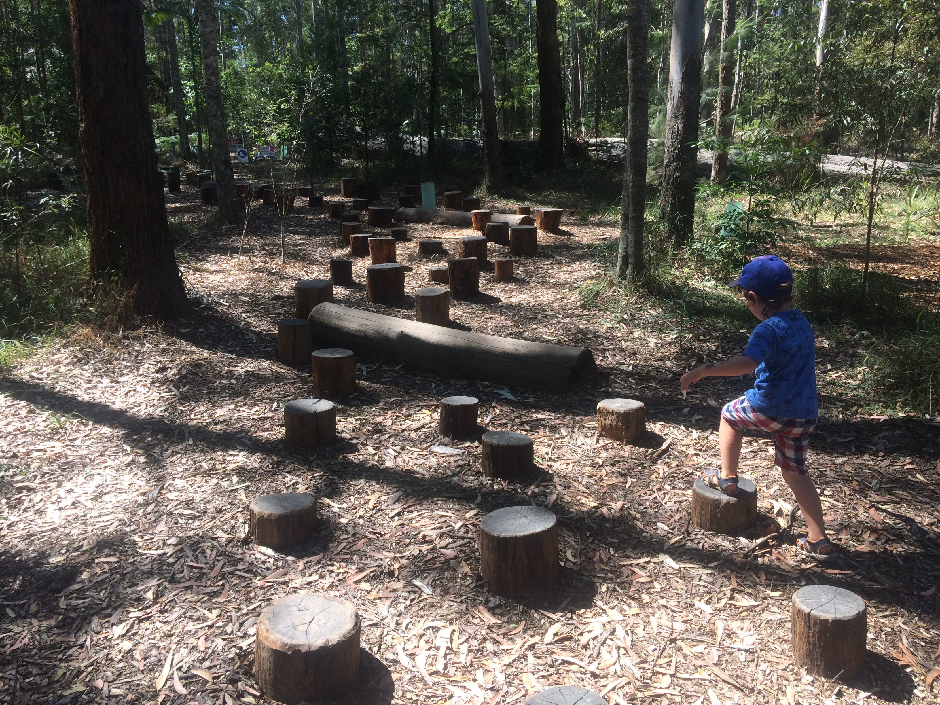 The Sunshine Coast was made for kids! Here is our pick of the best Sunshine Coast play parks hidden amongst the beauty of the Sunshine Coast.