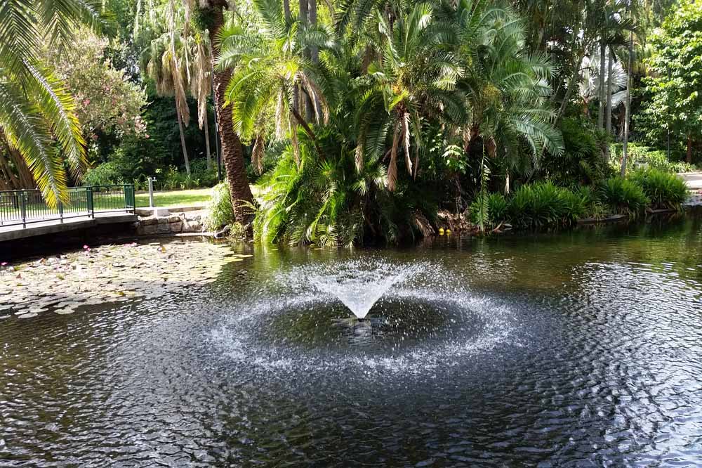 Fountain at The Brisbane Botanical Gardens