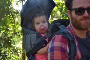 panda child carrier review