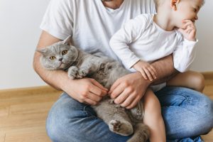When should I introduce a pet into the family